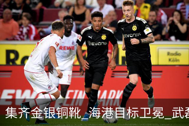 集齐金银铜靴 海港目标卫冕 武磊的伤是个麻烦